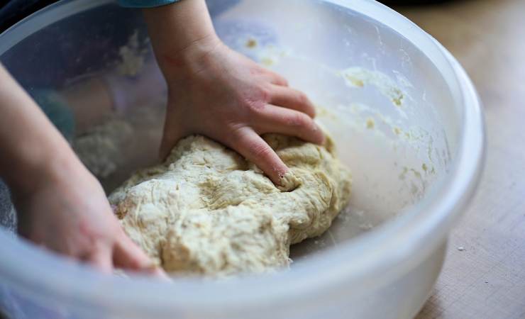 Casatiello napoletano ingredienti