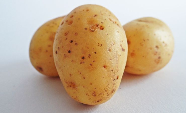 Genovese napoletana patata