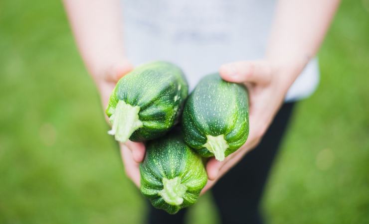 Zucchine polpette vegetariane