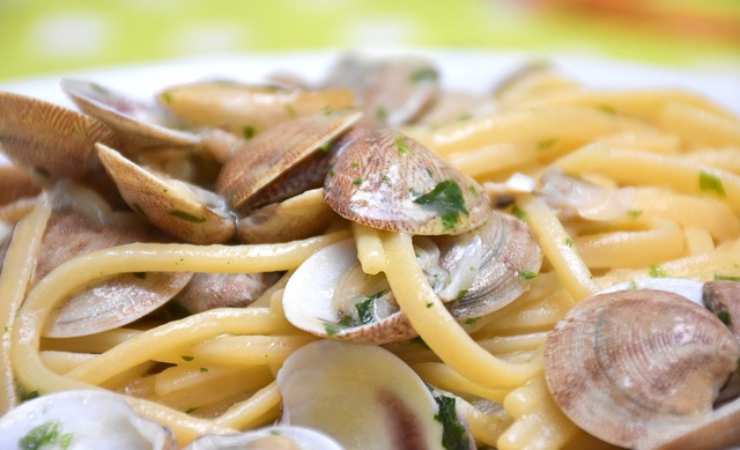 Pasta vongole cremosa