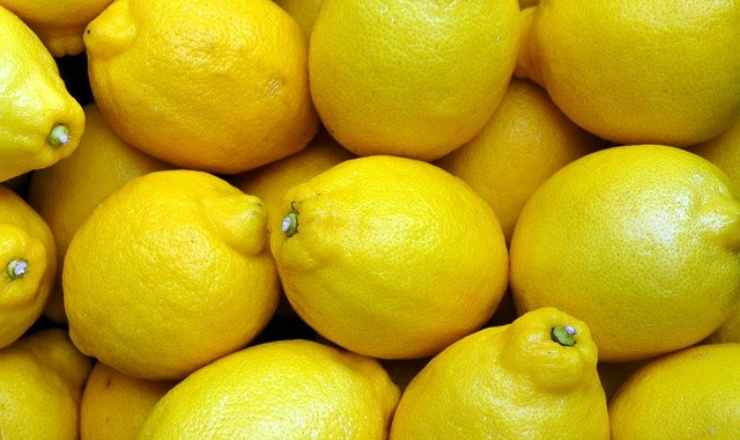 Limoni conservare
