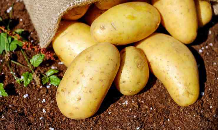 patate bollirle buccia