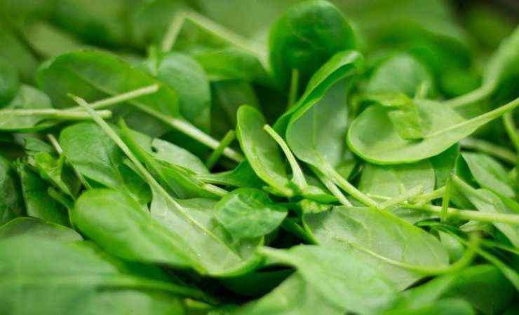Polpette vegetariane spinaci