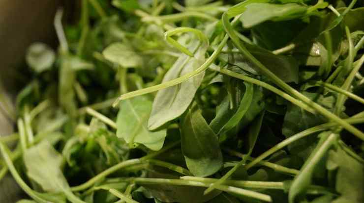 bresaola formaggio e rucola