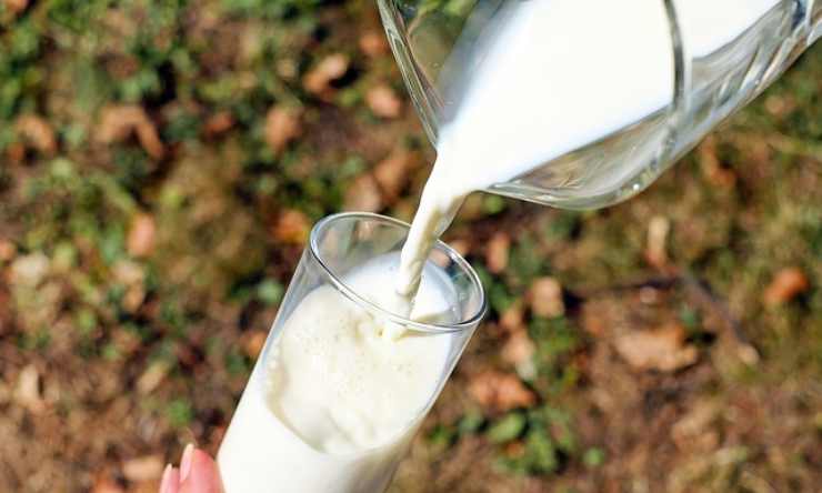 latte ricetta leggerissima