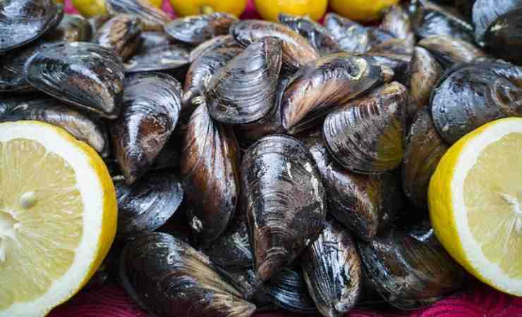 Spaghetti cozze