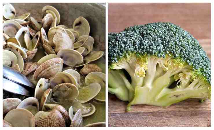 PAsta vongole ingrediente