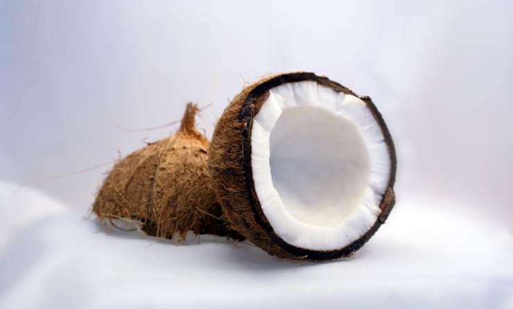 Cocco farina delizia