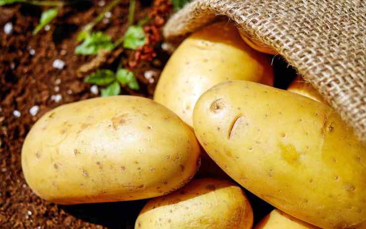 conservare patate 