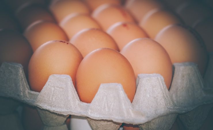 uova pericoloso