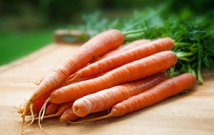 ciuffi di carote