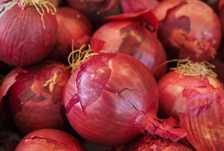 marmellata incredibile ingrediente