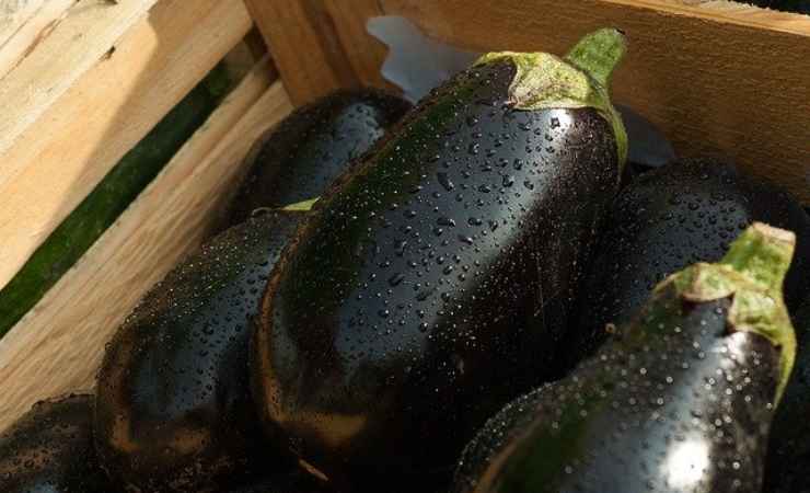 Parmigiana melanzane padella