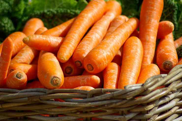 conservare le carote 