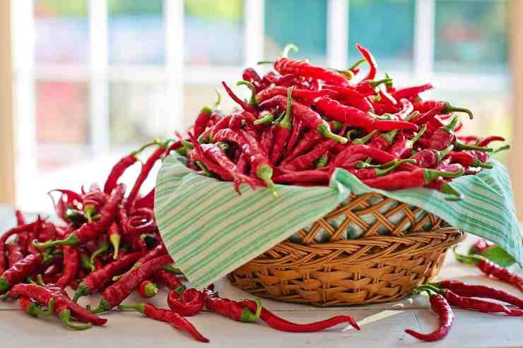 come conservare il peperoncino 