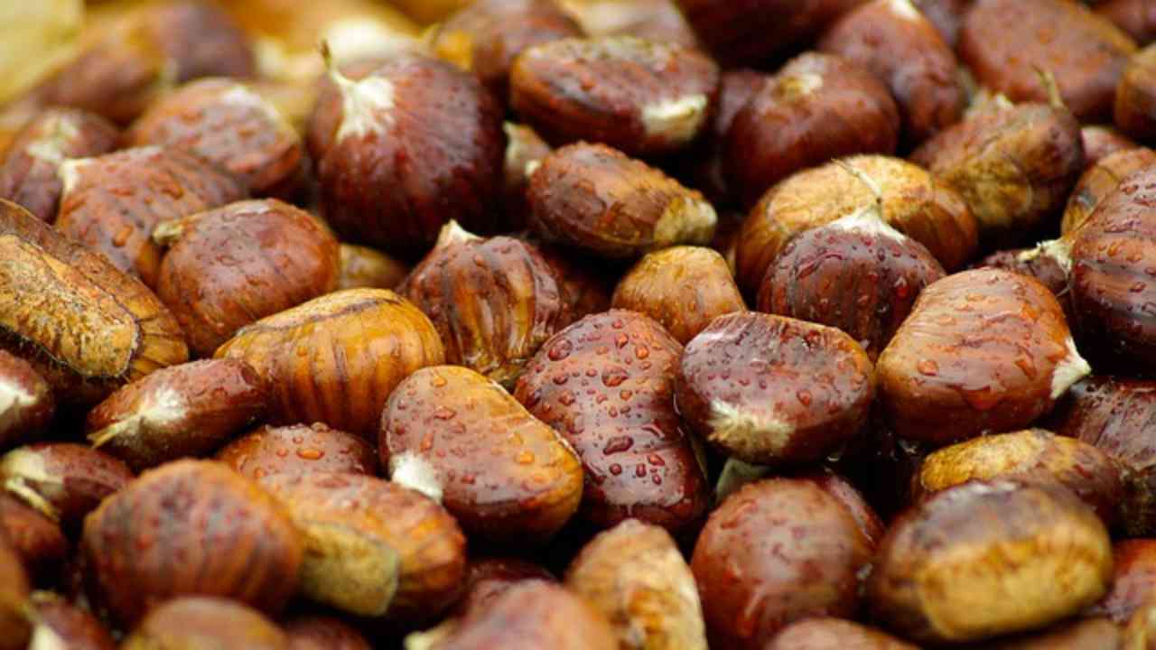 Taglio castagne 