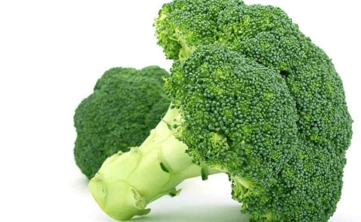 broccoli