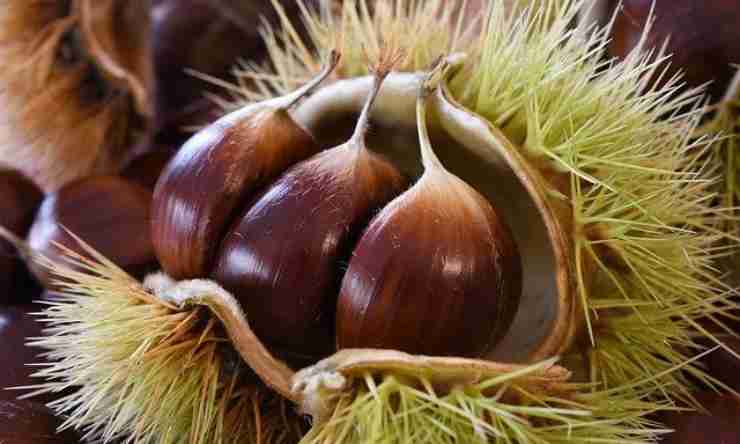 castagne  golose