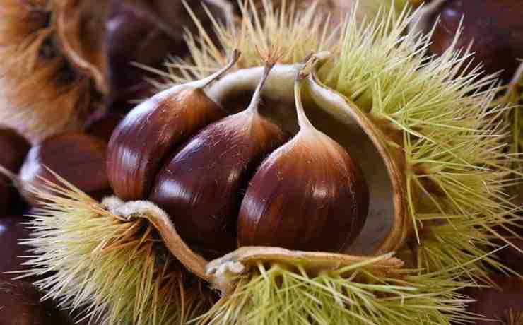 castagne