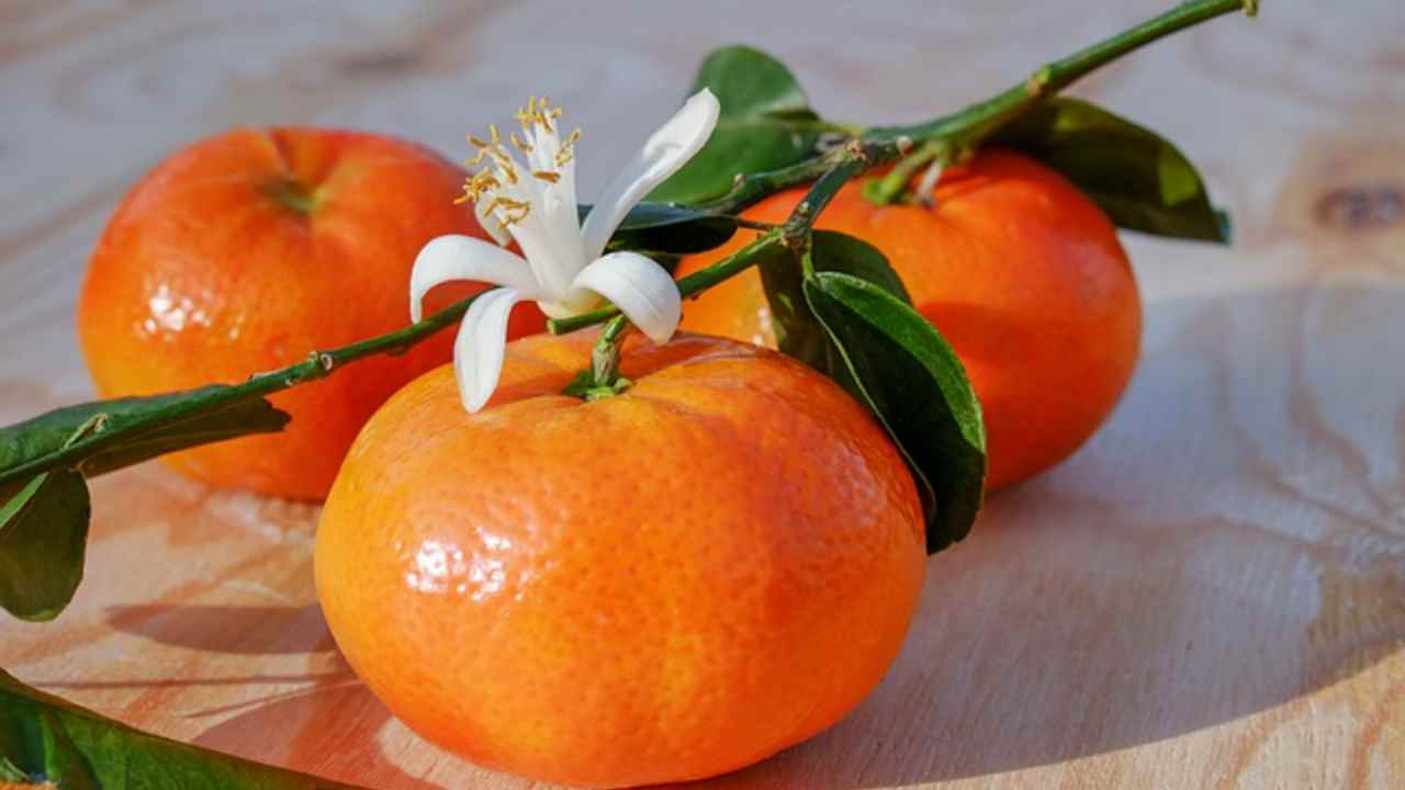 clementine ricetta