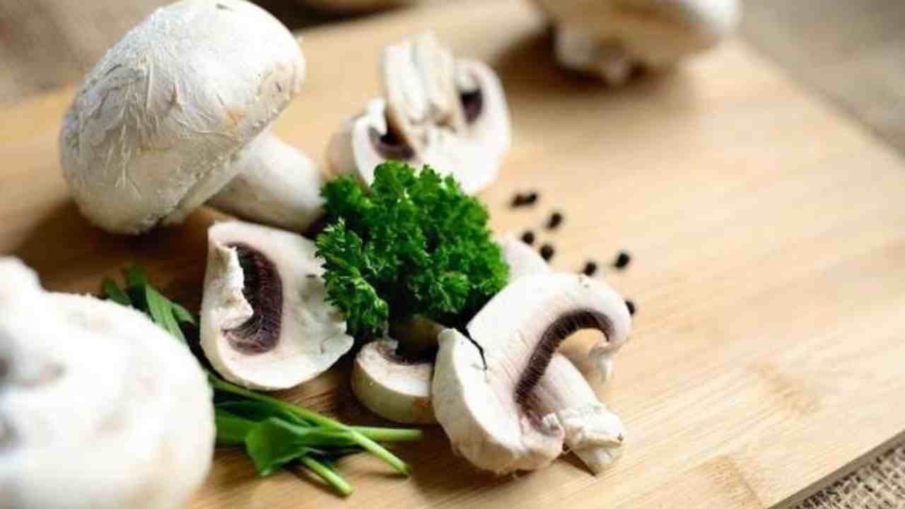 funghi ingredienti piatto