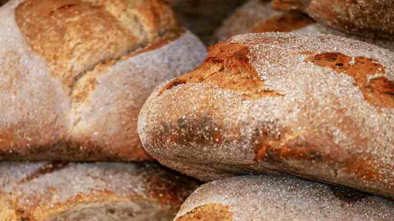 pane avanzato