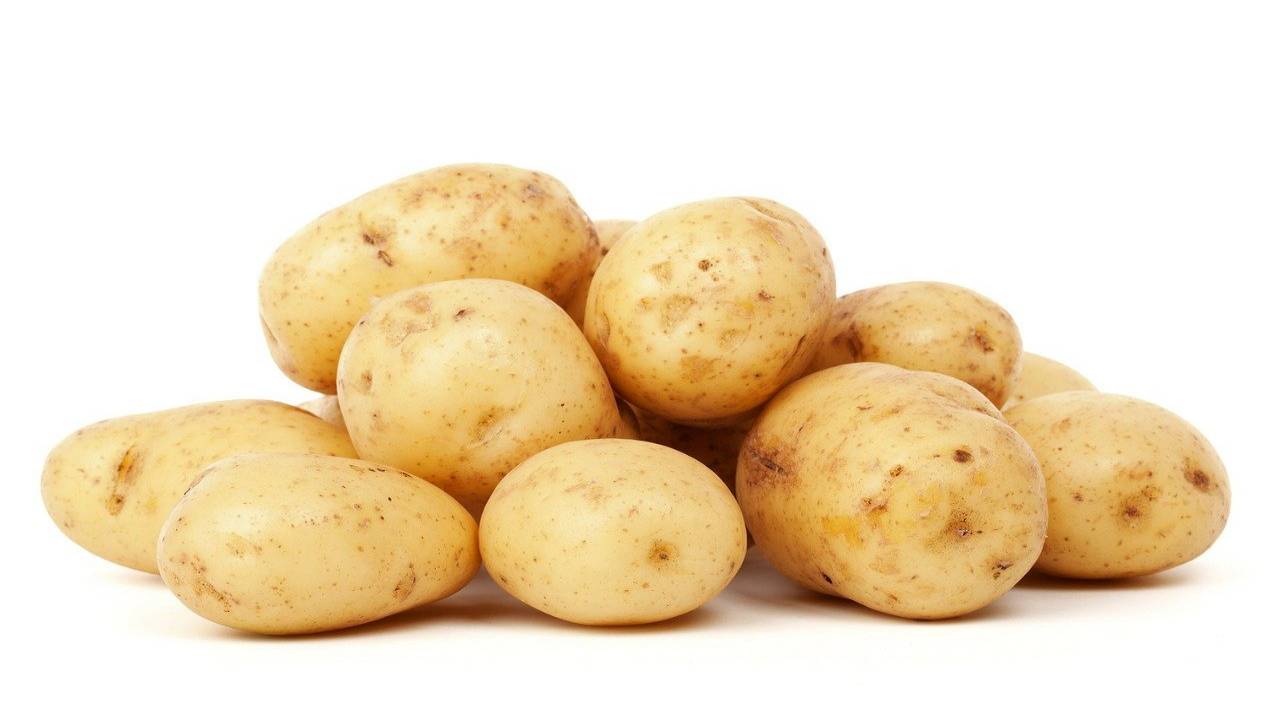 patate cena 