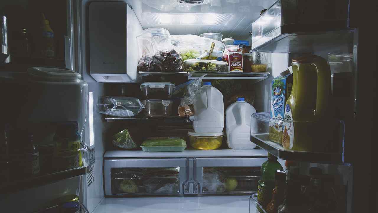 Alimenti sistemano frigo