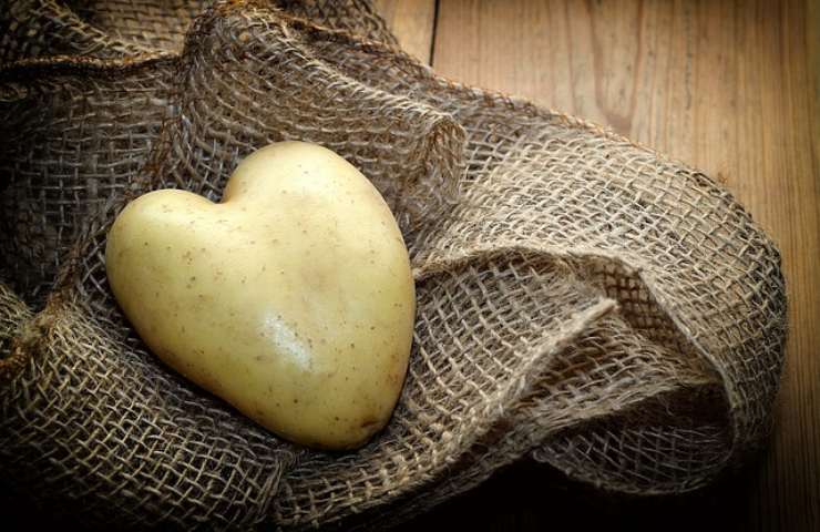 Brodo di pollo più gustoso