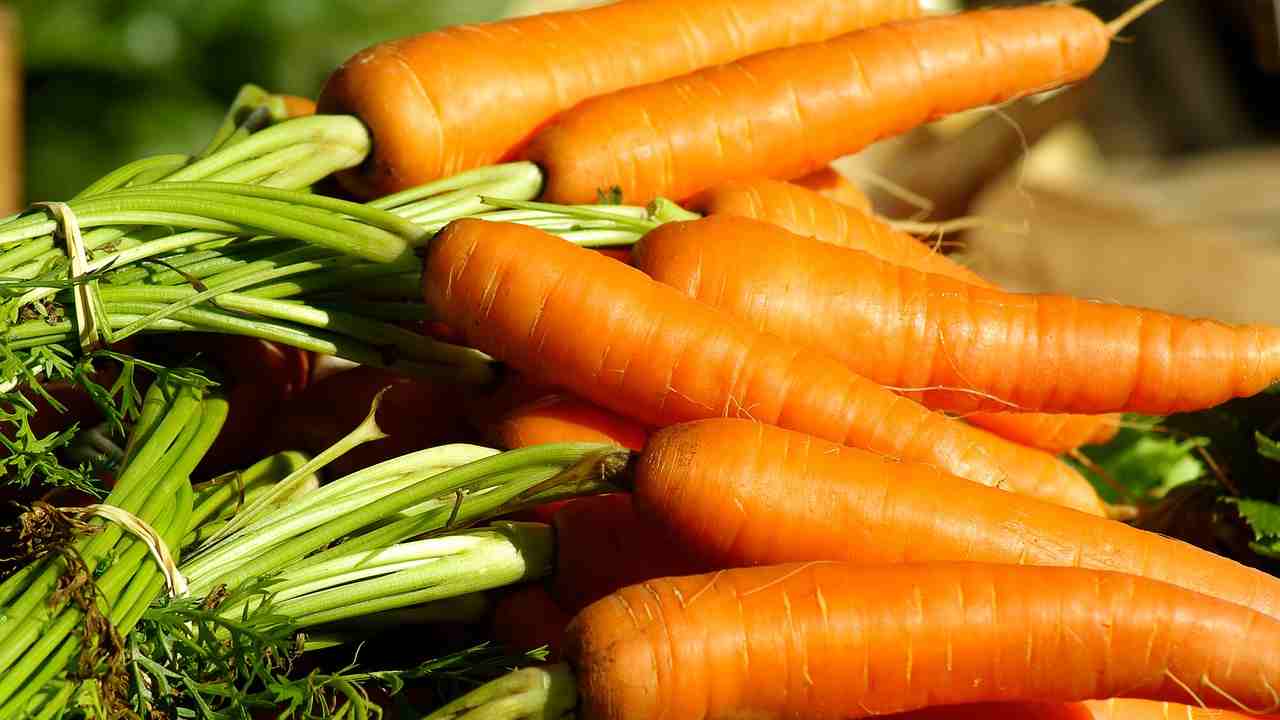 Puoi fare dolce carote