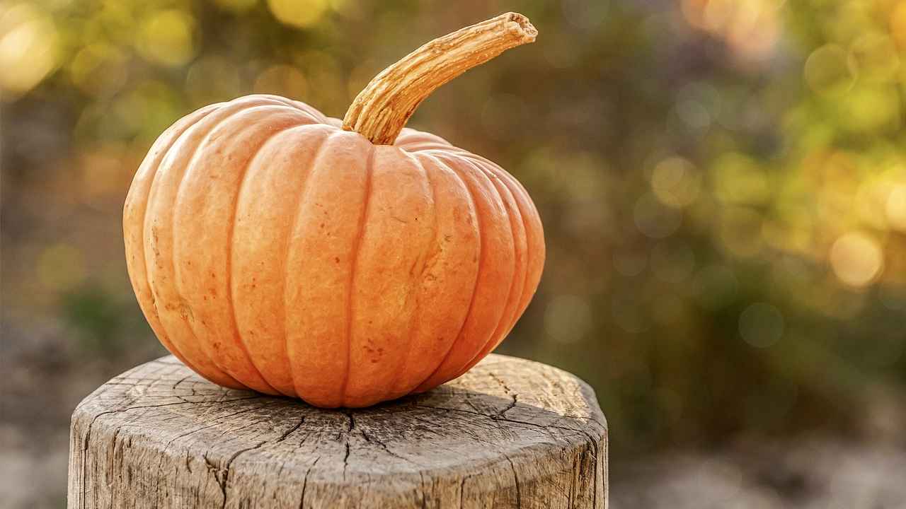 Bastoncini zucca