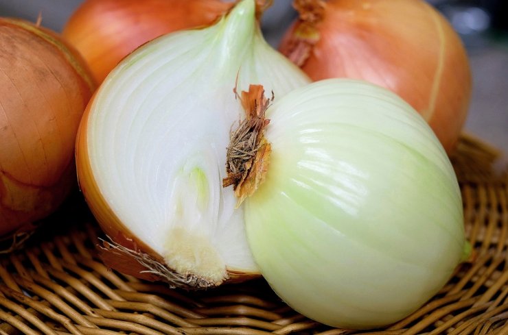 cipolla rimedio della nonna 