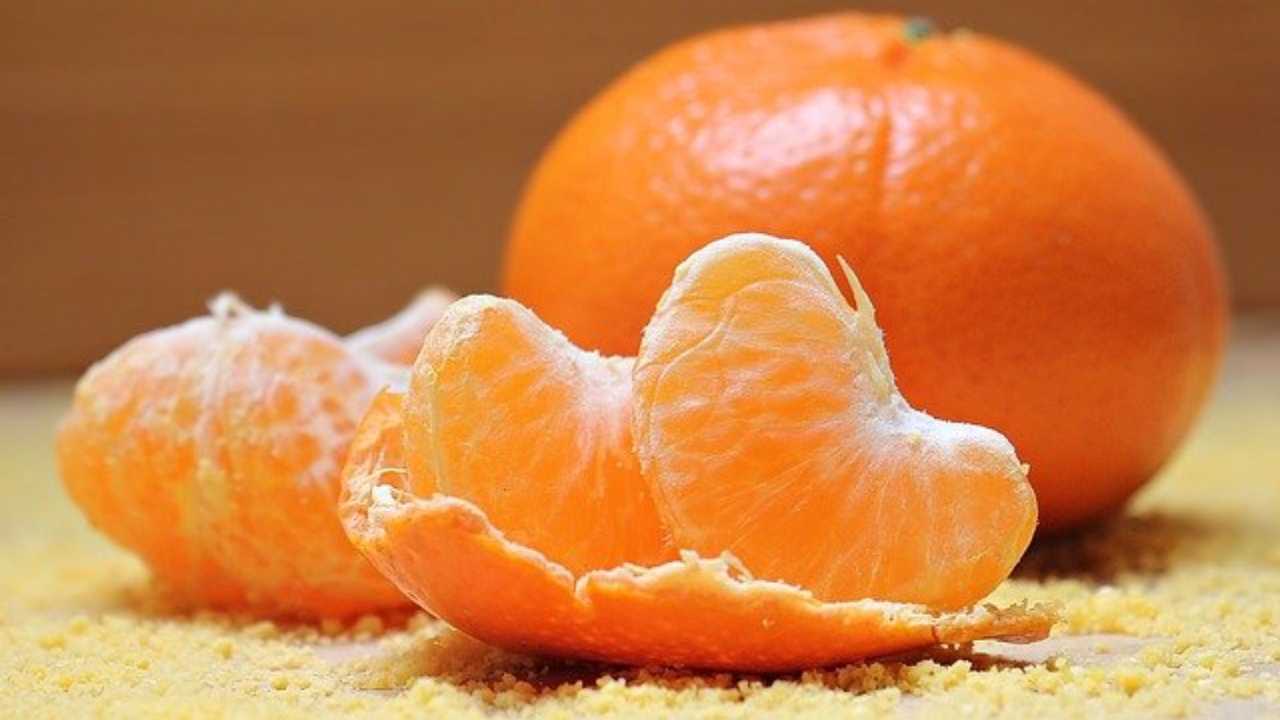 clementine conservare