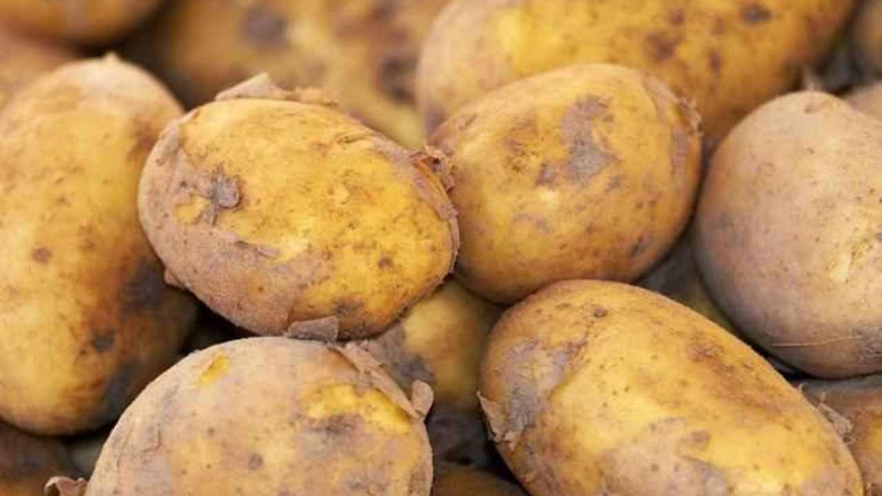 bocconcini patate filanti