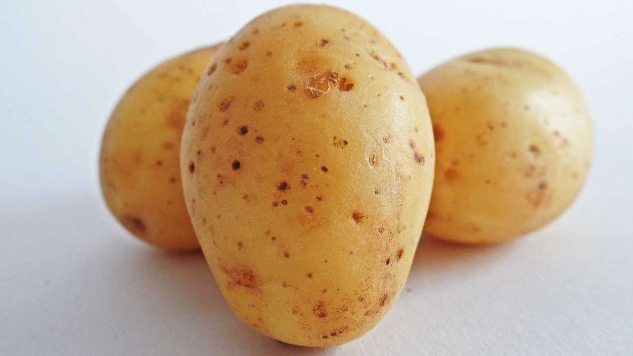 patate cena