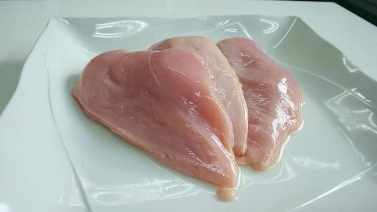 petto pollo piatto