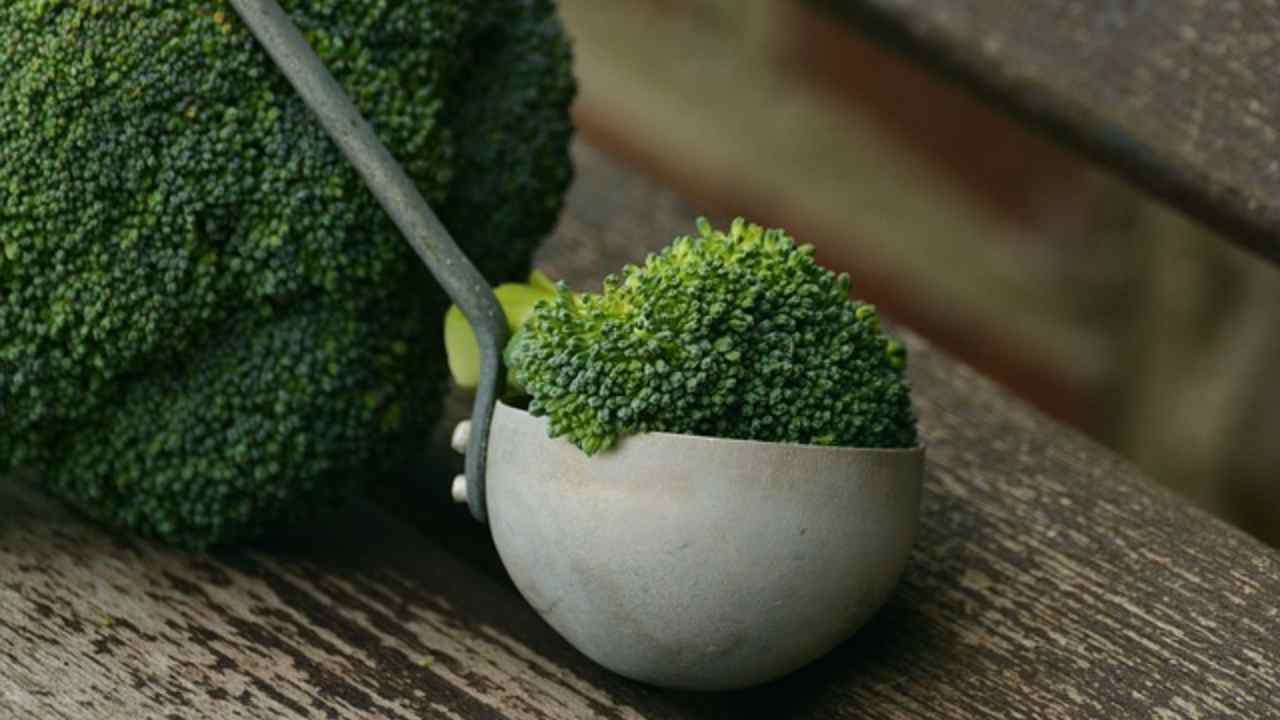broccoli ingrediente