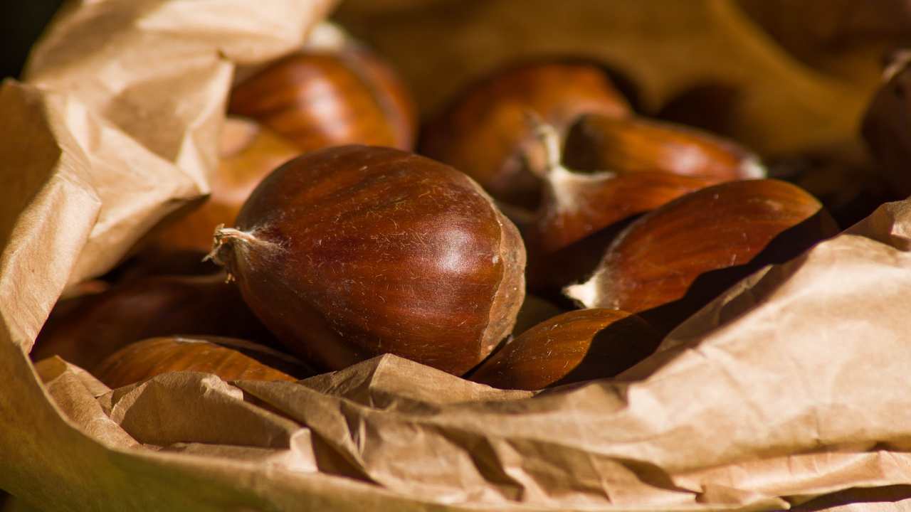 castagne come cuocerle