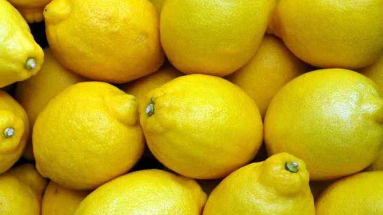 limone ricotta