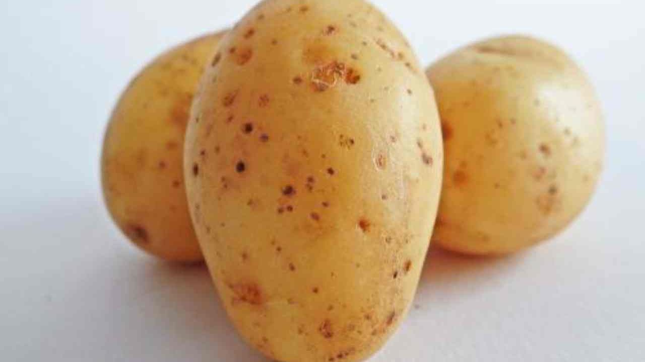 patate zucchine primo