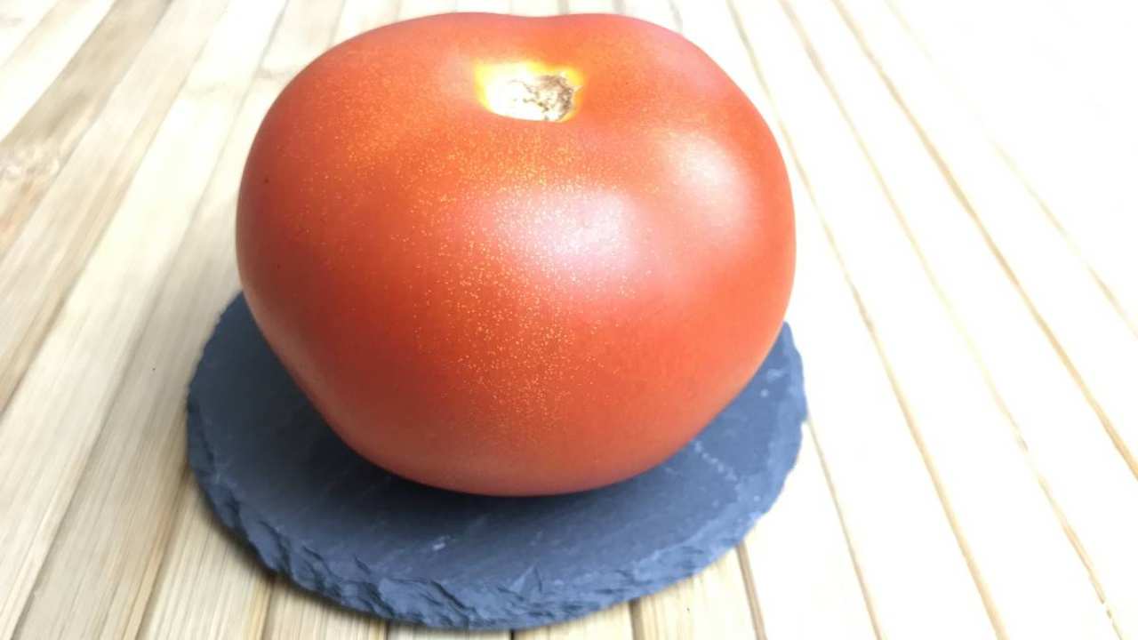 buccia di pomodoro