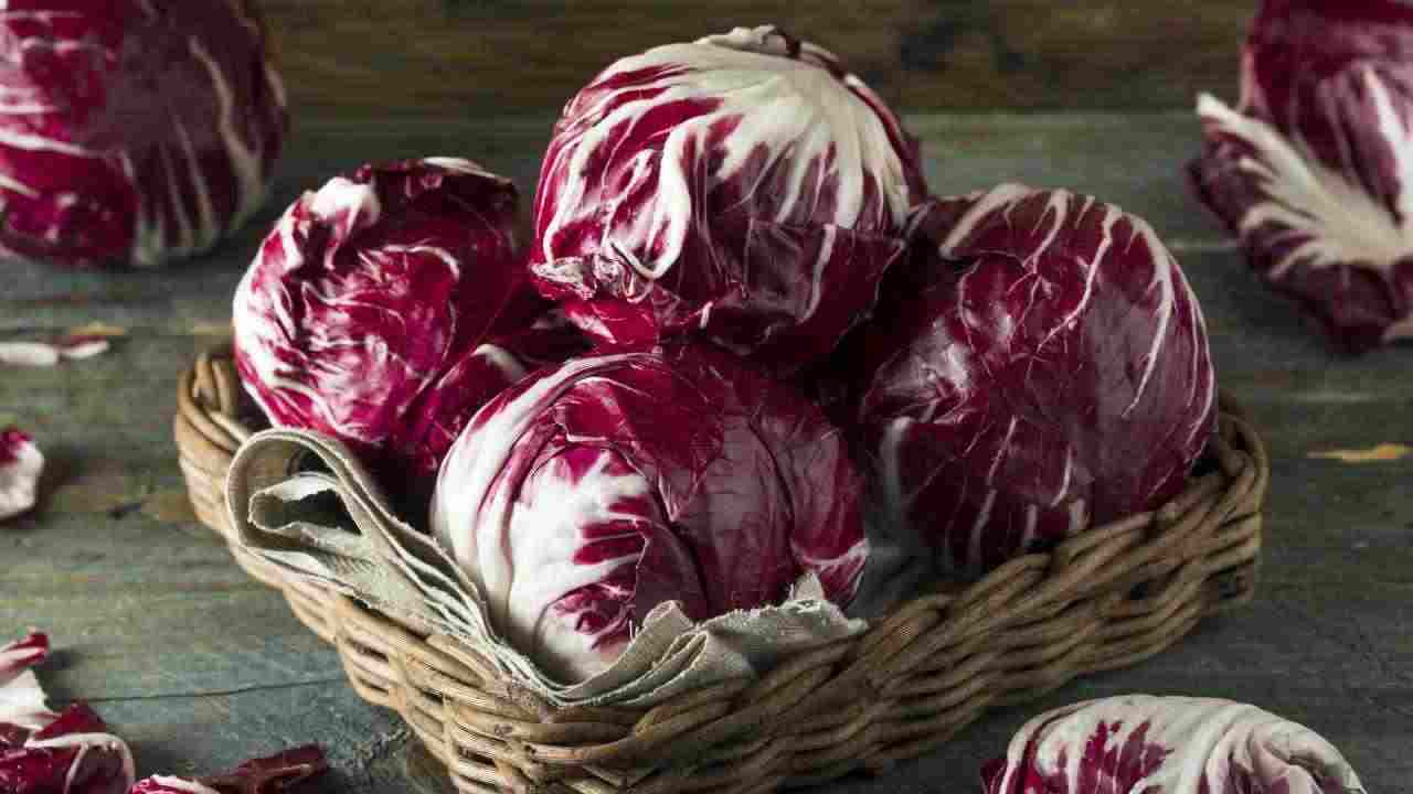 radicchio amaro