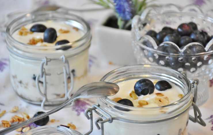 semplice yogurt