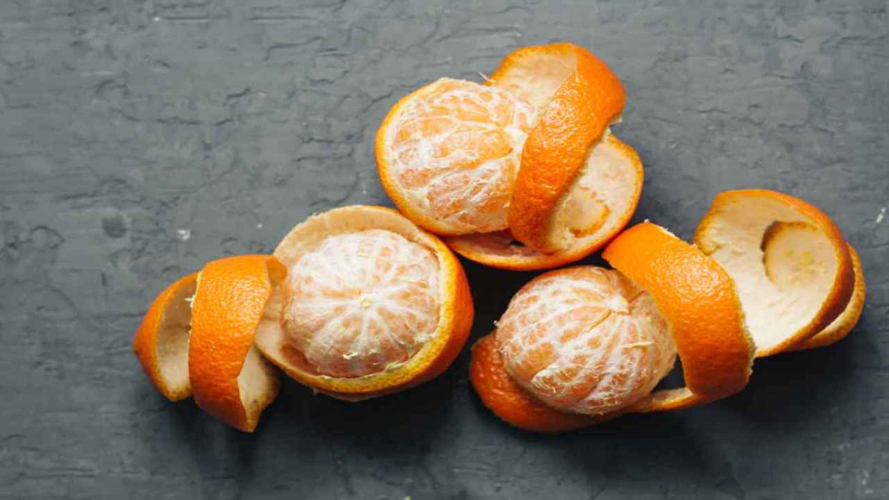 buccia d'arancia aceto 