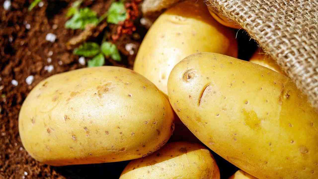 rotolo di patate 