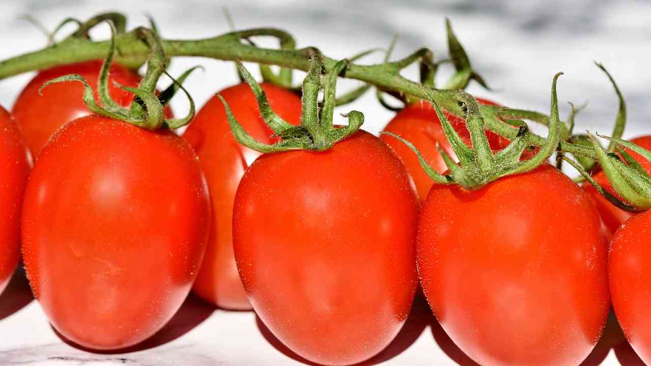 Pomodori dove conservi