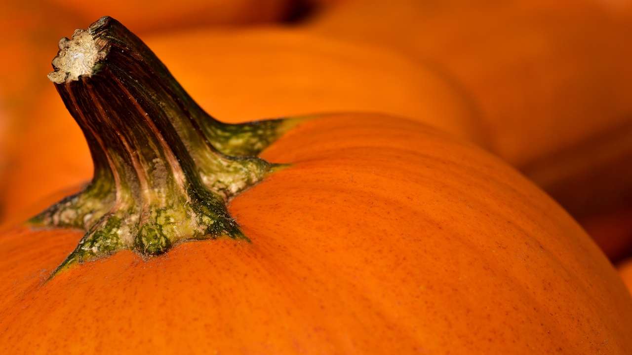 Piatto strepitoso zucca