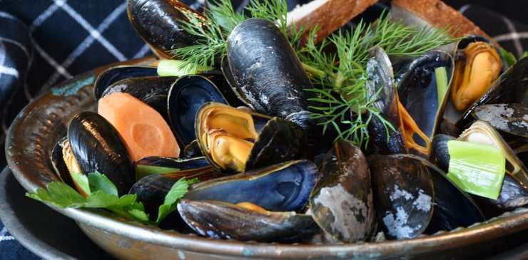 dove vanno buttati i gusci di vongole e cozze