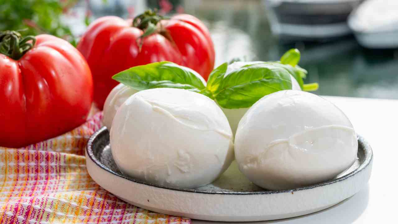 mozzarella saporita