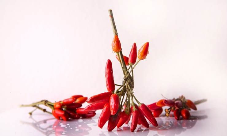 peperoncino